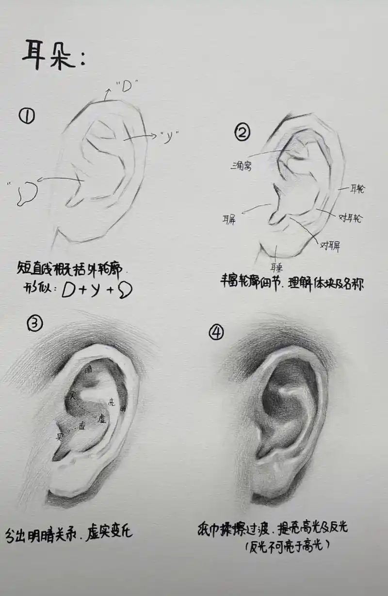 素描五官详解步骤画法以及理论知识分享#素描人物五官#素描@抖 - 抖音
