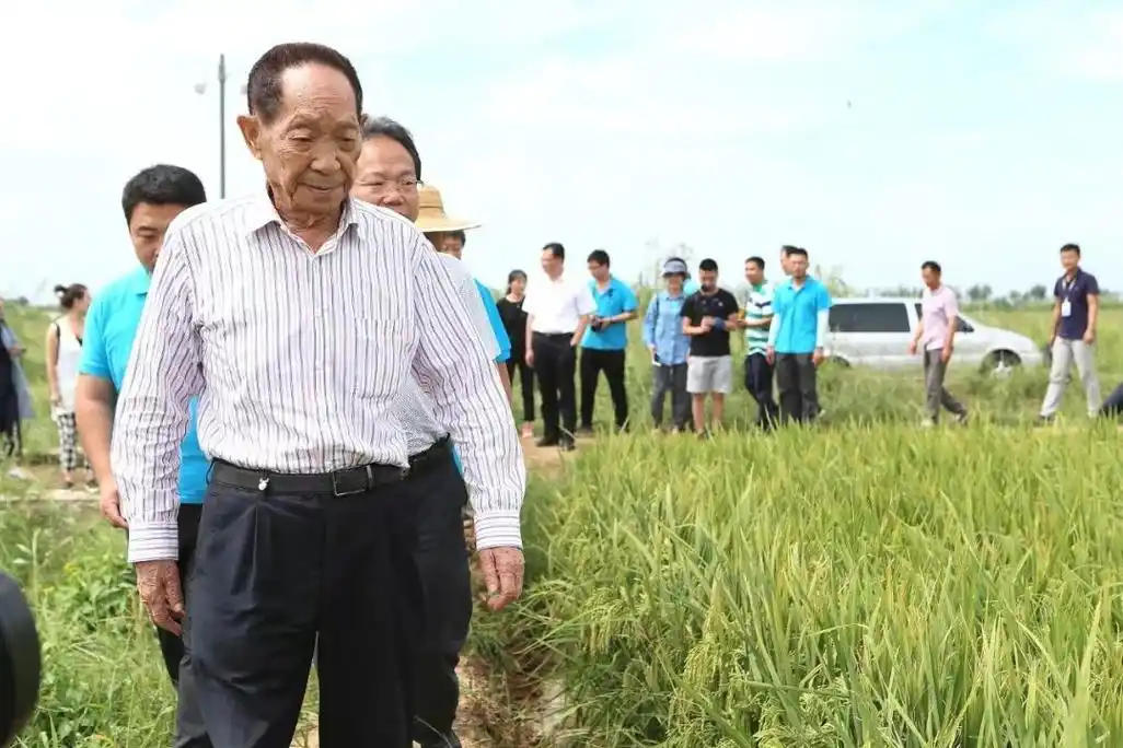 注意,"袁隆平"3个字不能这样用!