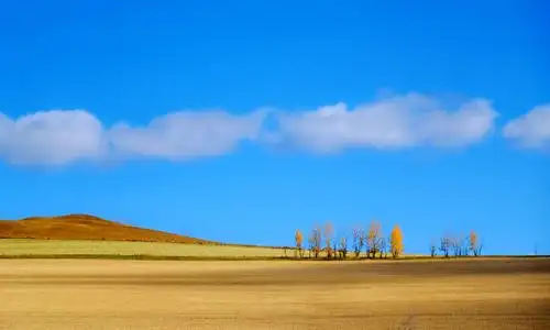 清秋,畅游呼伦贝尔大草原