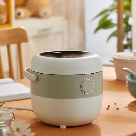 6升电饭锅迷你家用1-2人多功能全自动可预约小容量煲汤煮粥锅dfb-b16