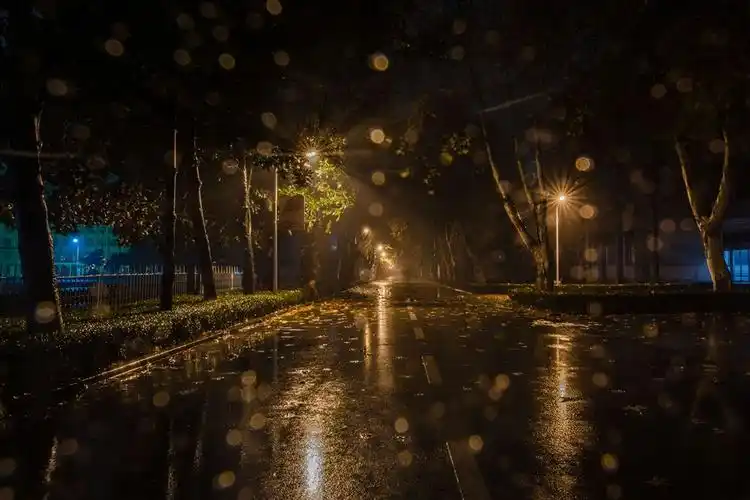 深夜秋雨