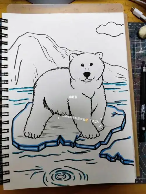 零基础学画画  #北极熊卡通 #北极熊  #北极熊手绘  #手绘北极熊