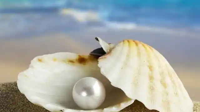 珍珠漂亮外表的背后故事