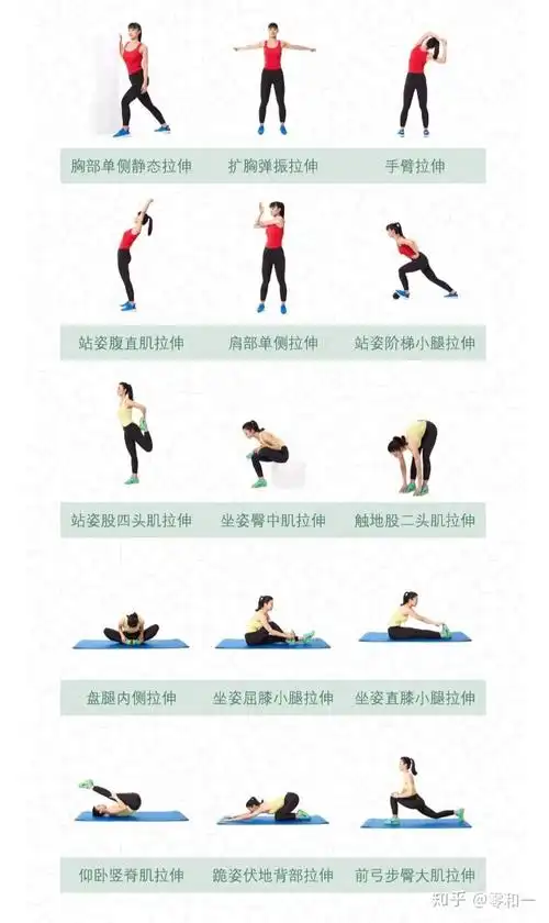 拉伸大全 - 知乎