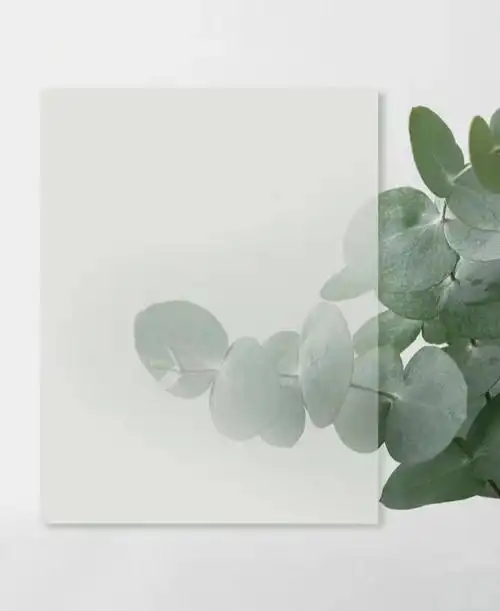 一波绿色森系小清新底图晒单反馈图