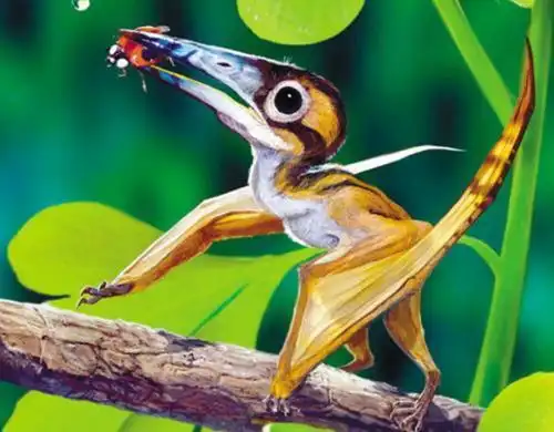 世界上最小恐龙森林翼龙体长约9厘米