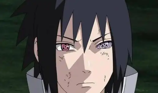 佐助轮回眼被捅还能修复吗