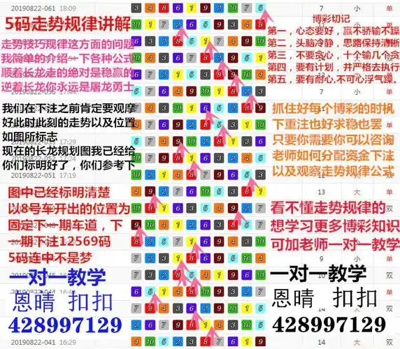轻松教你幸运飞艇杀号算法掌握规律轻松盈利