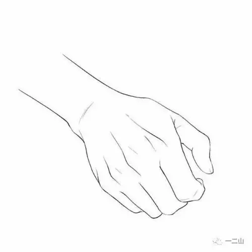 400张手部线描