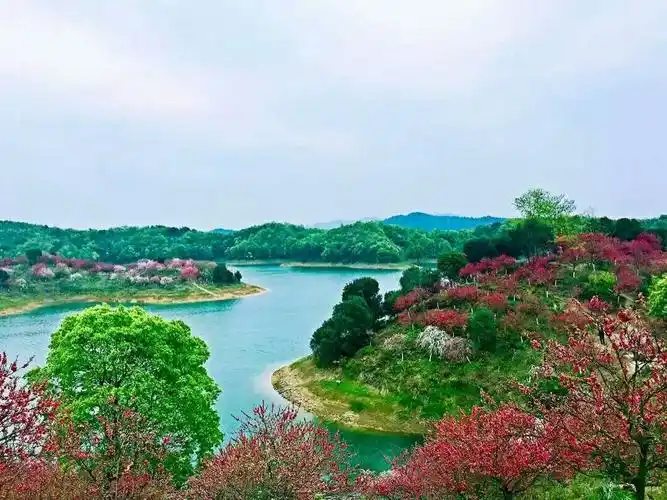 江西省武宁县阳光照耀29度假区花源谷四季皆有美景