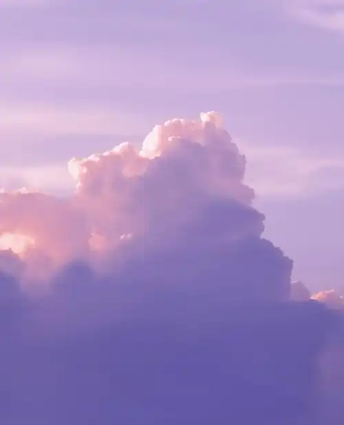 偶然云朵与飞鸟相遇