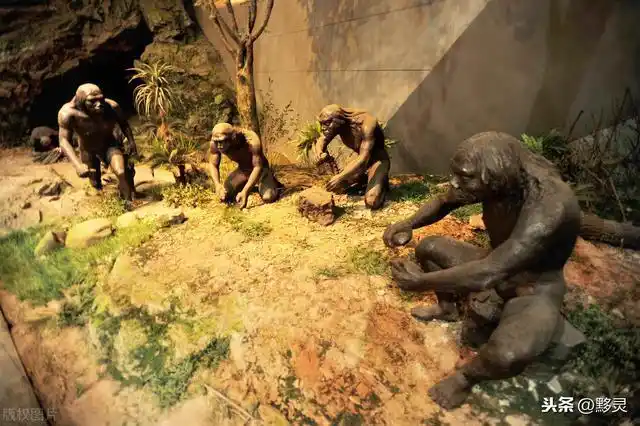 再后来,原始人类学会了驯养动物,耕种,他们才开始远离森林,寻找更适合