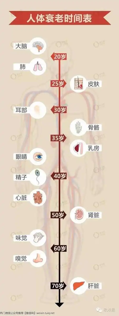 不老药的功效与作用看懂了作用和功效才能放心用