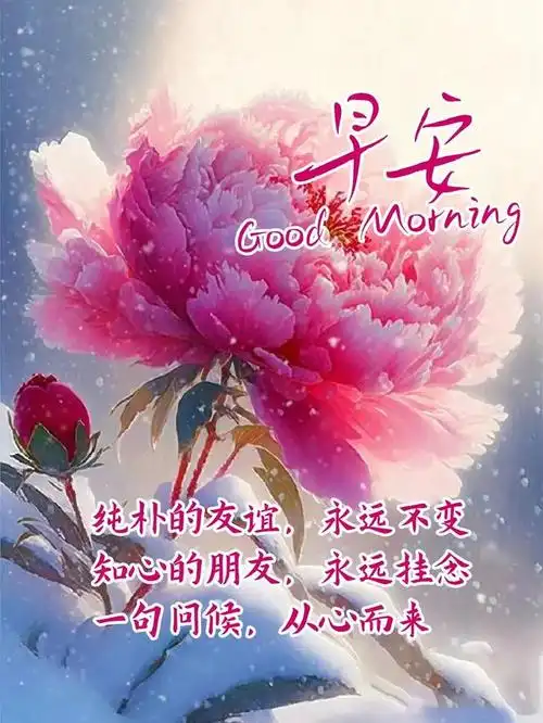 默默珍惜,人生中的缘分;深深珍藏,生活中的美好;相约清晨,发自由衷的