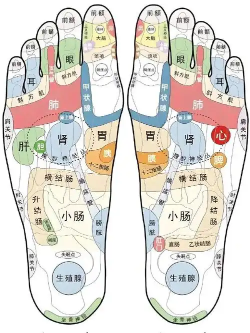 人老脚先衰,记得爱护自己的脚哦||中医认为,脚是