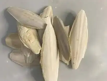 乌贼骨的功效与作用有哪些_美健品招商网