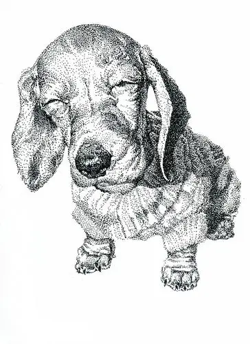 原创手绘-黑白点画|插画|插画习作|妮妮_sunny - 原创作品 - 站酷