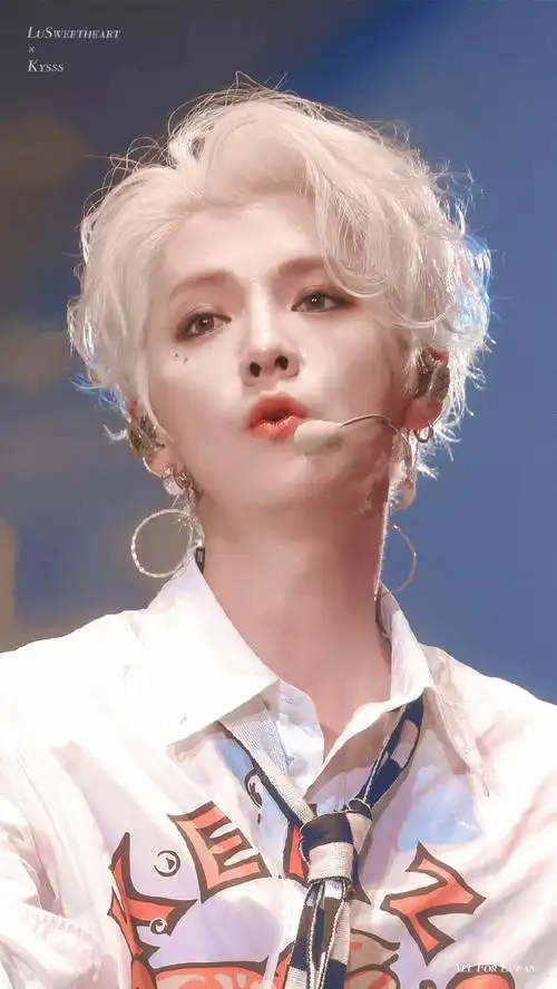 爱豆鹿晗回来了