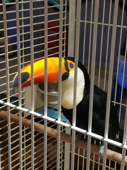 有趣的小动物园