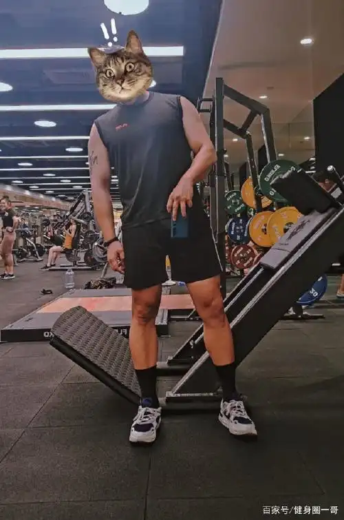 上海外国语大学毕业的肉壮爷们,内卷的当下,必须要健身练肌肉!