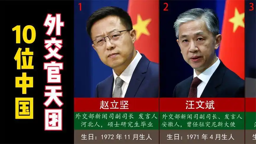 10位我国外交官天团