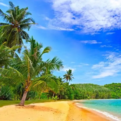 沙滩椰林碧海蓝天头像
