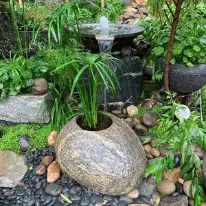 天然石头流水石盆户外鱼池庭院景观装饰鱼缸花盆石雕水钵喷泉摆件