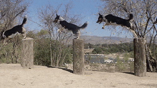 帕麻时尚的个人展示页