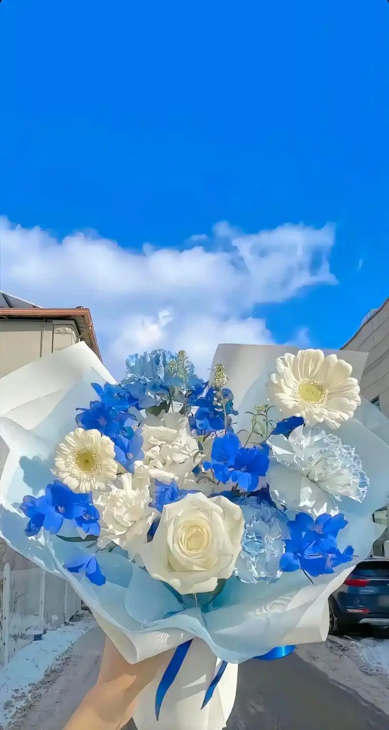 壁纸 风景 摄影 桌面 1080_2028 竖版 竖屏 手机