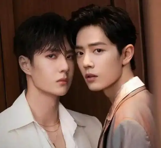 5年后,再看王一博和肖战的境遇,才发现他们本就不是"一路人"