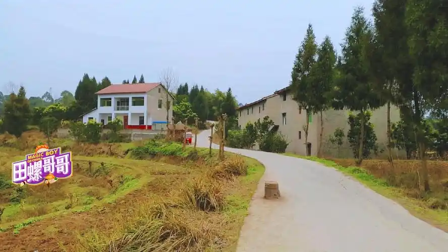 实拍四川一个普通农村,家家户户通水泥路,盖小平房,日子不错!