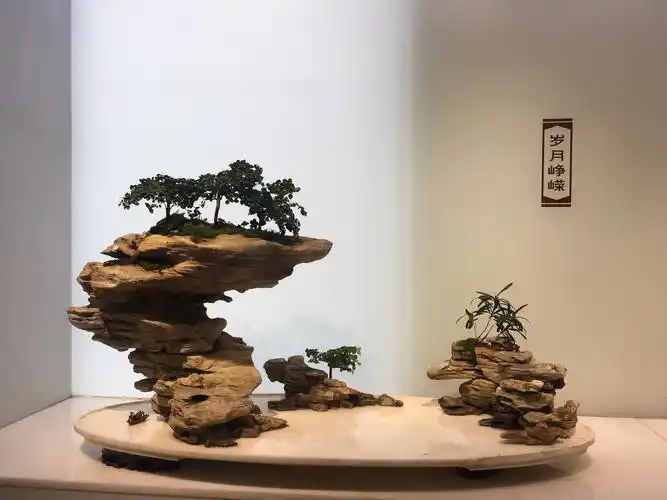 假山盆景 - 美篇