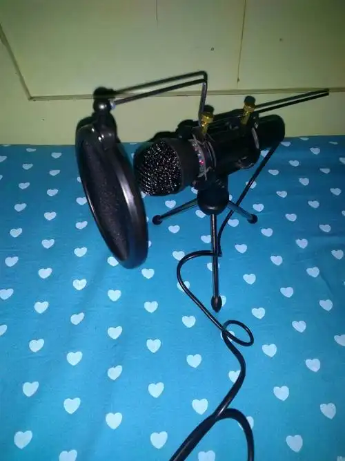 vivoxplay3s能用外接麦克风吗?