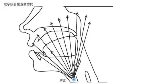 唱歌的气息系统和咬字系统是怎么协作的