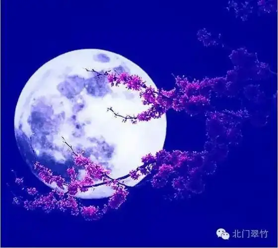 正月十五最漂亮的月亮送给您