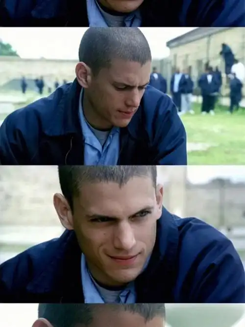 99越狱(美剧,目前五季)这部美剧是很老的作品了,但目前还在不断更新