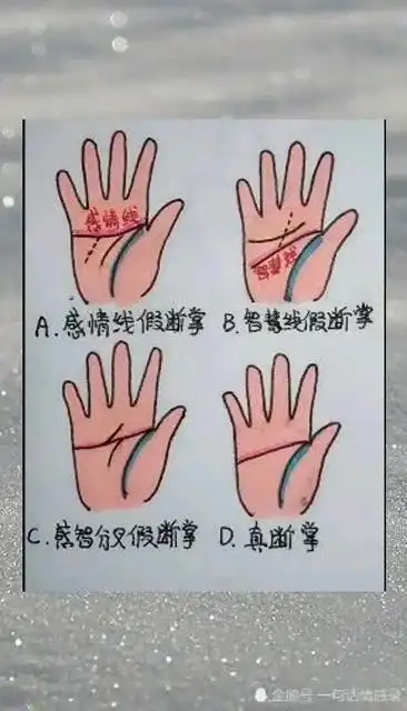 各种断掌纹的分类图解