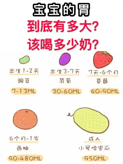 宝宝的胃有多大该喝多少奶看完全明白