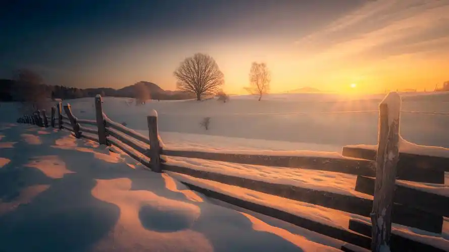 冷战能力强而且伤人指数相当高的三个星座冷漠如同不曾相识