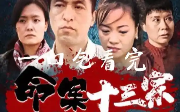 《命案十三宗》:一起看看真实的犯罪案例,每个案件都有独特的故事和