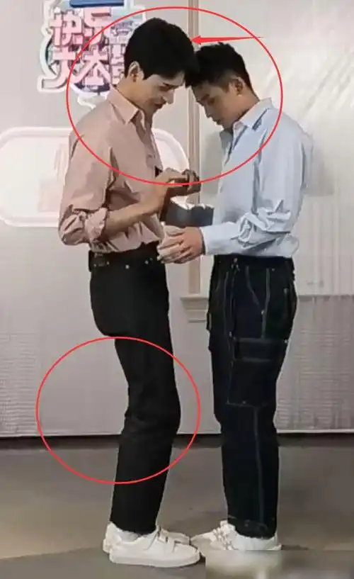 张哲瀚181cm龚俊186cm两人玩推人游戏谁谎报了身高