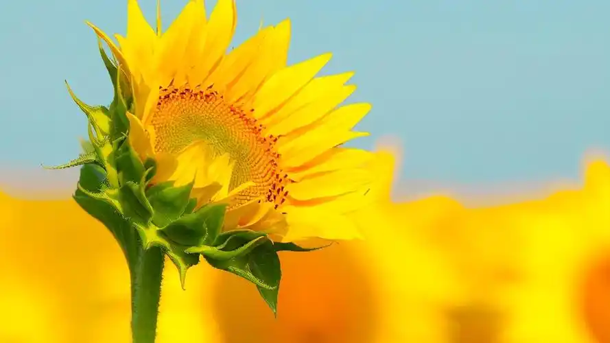 心态正能量的句子最新的正能量句子励志短句子