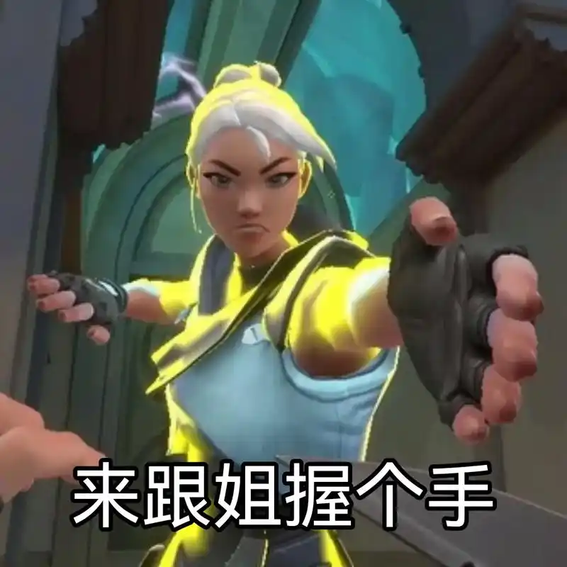 交给你们了#无畏契约 #捷风 #表情包 - 抖音