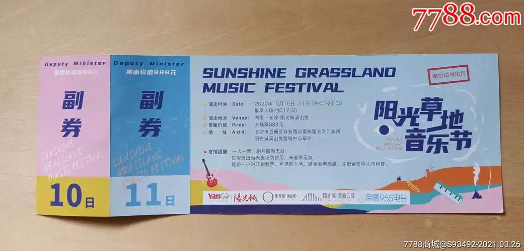 2020长沙阳光草地音乐节旧门票