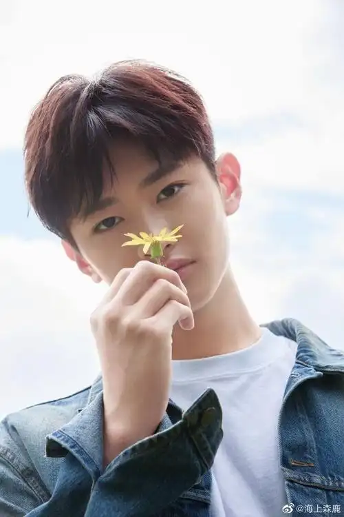 史彭元16岁生日连发16天微博