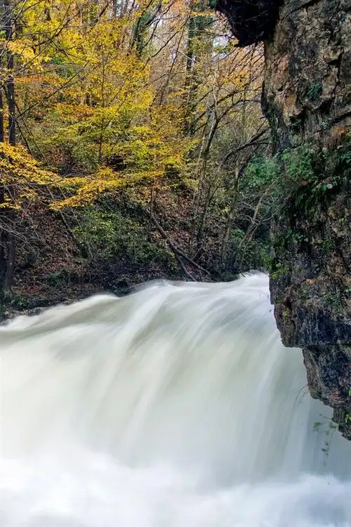 壁纸 秋天,树,溪流 1920x1200 hd 高清壁纸, 图片, 照片