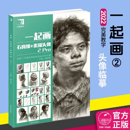 一起画石膏像素描头像2por杨慎修2022完美教学绘画基础素描肖像画教程