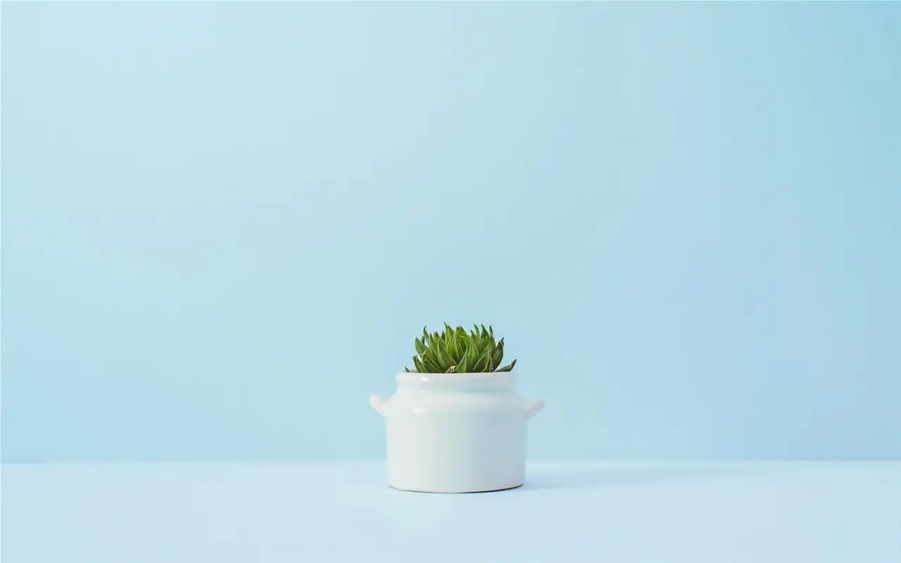 简约唯美静物高清桌面壁纸高清大图预览1920x1080_风格壁纸下载_美桌