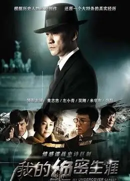 我的绝密生涯(更新至38集)-全集在线观看-电视剧-爱奇艺影视大全