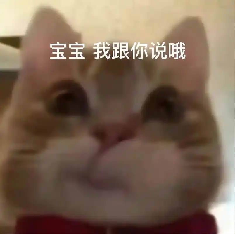 宝,我跟你说哦#猫咪表情包 #表情包 #歪嘴小猫 #发给对象 - 抖音